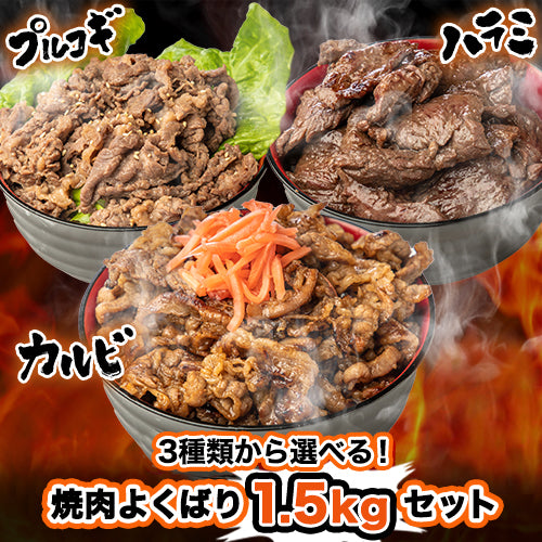 選べる!牛焼肉よくばり1.5kgセット (150g×10) 武田ハム 肉加工品 お取り寄せ プレゼント 人気 ギフトセット 焼肉セット メガ盛り 焼き肉 食べ比べ 牛肉 ハラミ カルビ プルコギ 簡単 味付き肉