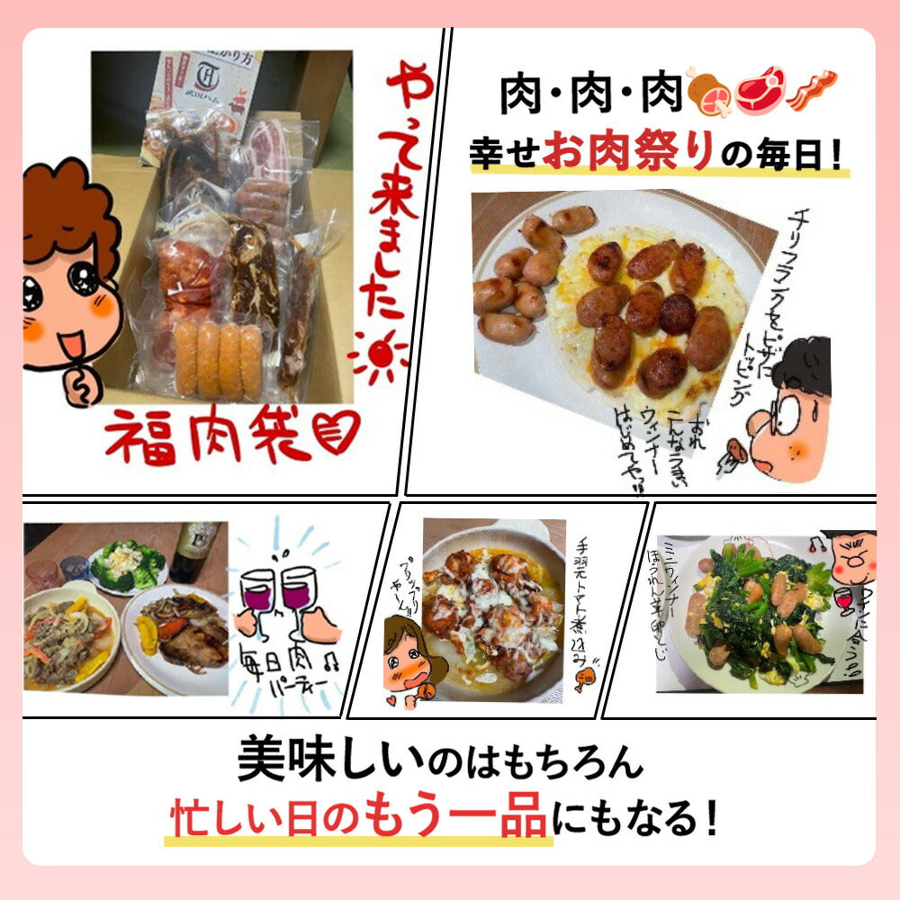 肉 1.7kg超 9種! 【 バラエティ福肉袋 】