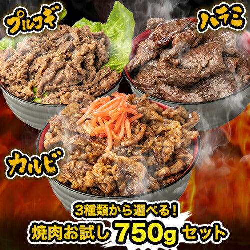 お試し 焼肉750gセット 武田ハム 肉加工品 食品 お取り寄せ プレゼント 人気 ギフトセット お返し 焼き肉 セット 食べ比べ 牛肉 ハラミ カルビ プルコギ 冷凍 簡単 味付き肉