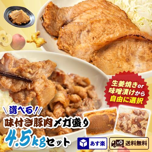 選べる!味付き豚肉メガ盛り4.5kgセット武田ハム肉加工品食品お取り寄せプレゼント人気ギフトセットお返し