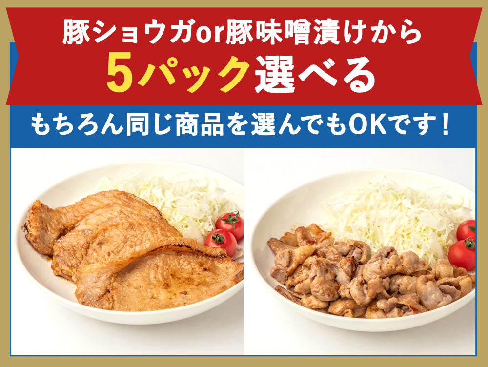 選べる!味付き豚肉満喫 1.5kgセット (150g×10) 武田ハム 肉加工品 食品 お取り寄せ プレゼント 人気 ギフトセット お返し 味噌漬け 小分け 生姜焼き 豚 ロース ぶた肉 惣菜 和食 簡単 冷凍