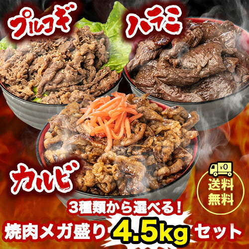 選べる!焼肉メガ盛り4.5kgセット武田ハム肉加工品食品お取り寄せプレゼント人気ギフトセットお返し