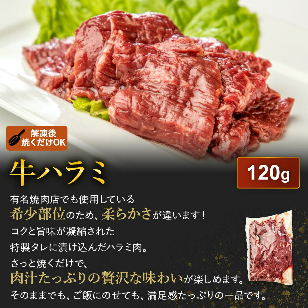 肉 3kg超 14種！【 メガ盛福肉袋 】