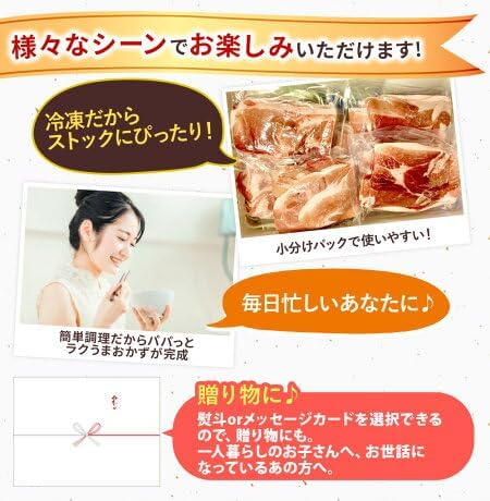 1.6kg超 ファミリー肉福袋★7種10個入り！＼訳あり商品なし／【 武田ハム 福袋2025 】