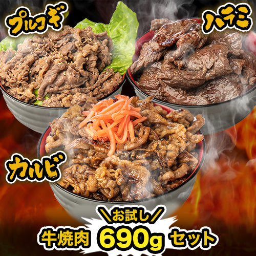お試し 牛焼肉690gセット (120g×5パック)
